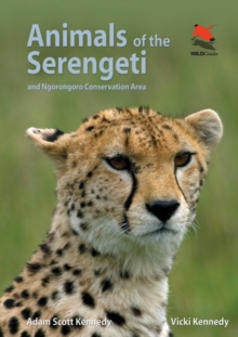 Animals of the Serengeti : And Ngorongoro Conservation Area