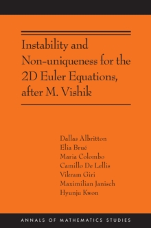 Instability and Non-uniqueness for the 2D Euler Equations, after M. Vishik : (AMS-219)
