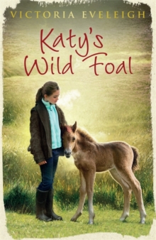 Katy's Exmoor Ponies: Katy's Wild Foal : Book 1