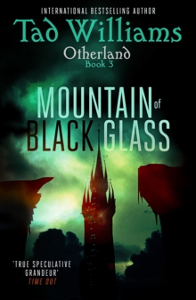 Mountain of Black Glass : Otherland Book 3