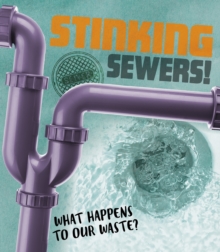 Stinking Sewers! : What happens to our waste?
