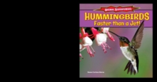 Hummingbirds: Faster Than a Jet!