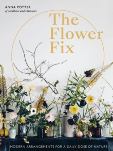 Flower Fix : Modern arrangements for a daily dose of nature