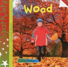 Wood : Sparklers - Out and About