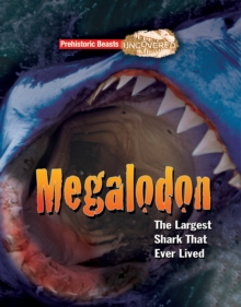 Megalodon : The Largest Shark That Ever Lived