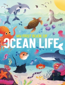 My First Book of Ocean Life : An Illustrated First Look at Ocean Life from Around the World
