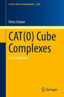 CAT(0) Cube Complexes : An Introduction