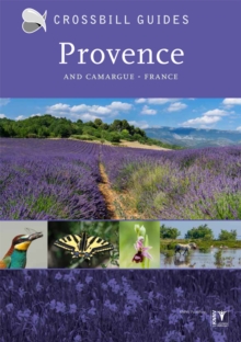 Provence : And Camargue, France
