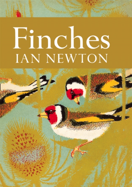 Finches, EPUB eBook