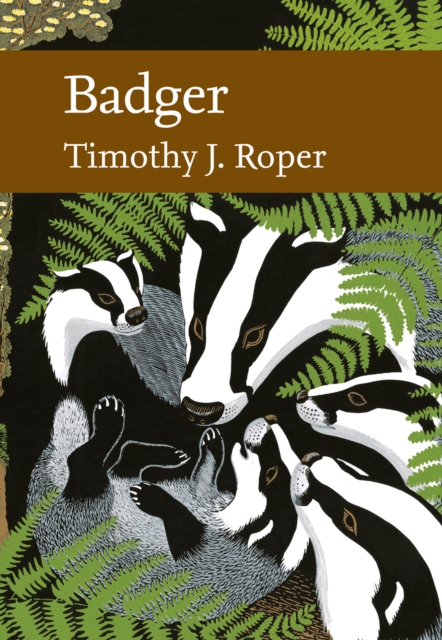 Badger, EPUB eBook