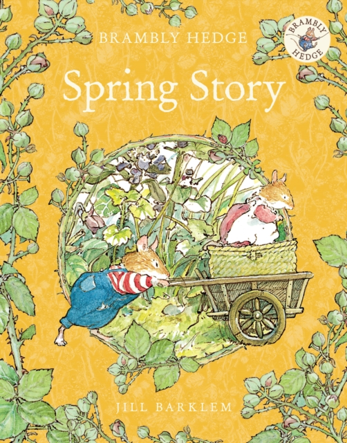 Spring Story, Paperback / softback Book