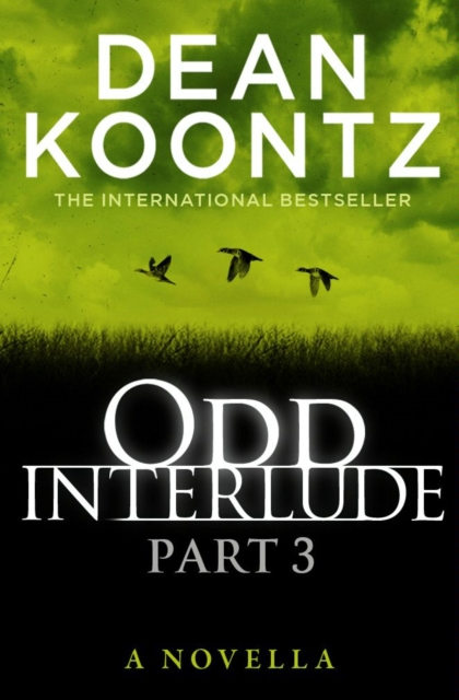 Odd Interlude Part Three, EPUB eBook