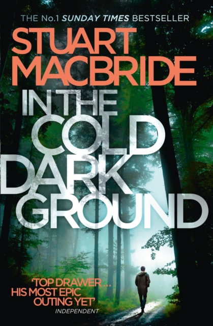 In the Cold Dark Ground, Paperback / softback Book