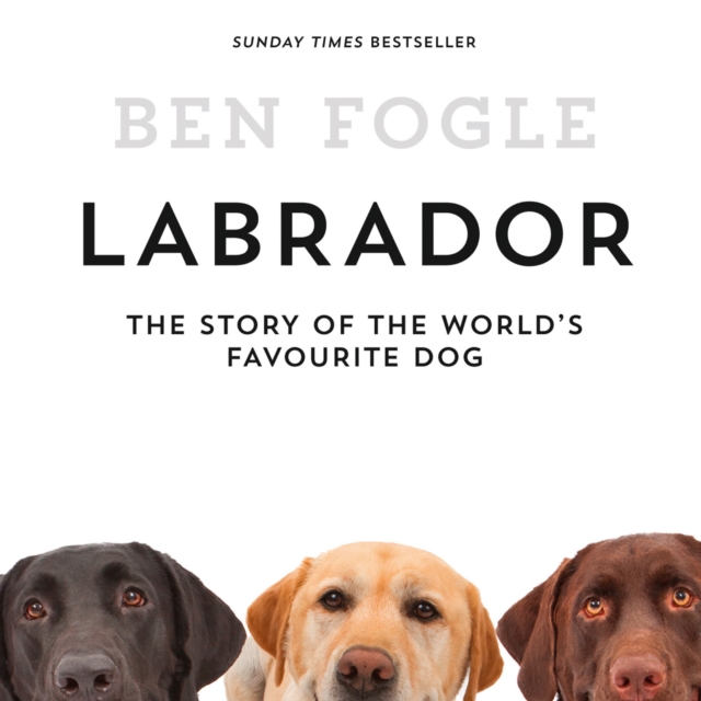 Labrador : The Story of the World's Favourite Dog, eAudiobook MP3 eaudioBook