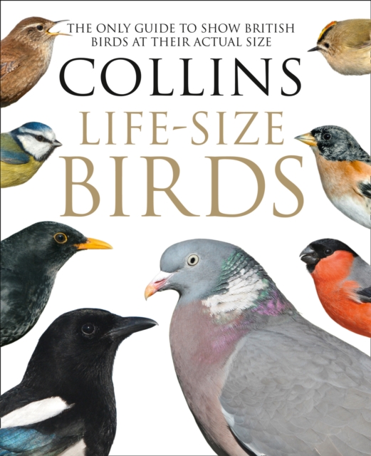 Collins Life-Size Birds : The Only Guide to Show British Birds at Their Actual Size, Hardback Book