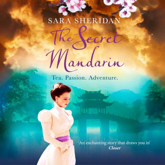 The Secret Mandarin, eAudiobook MP3 eaudioBook