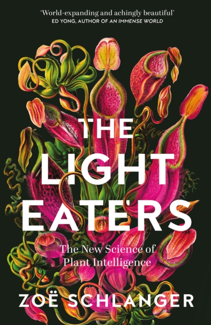 The Light Eaters : The New Science of Plant Intelligence, Hardback Book