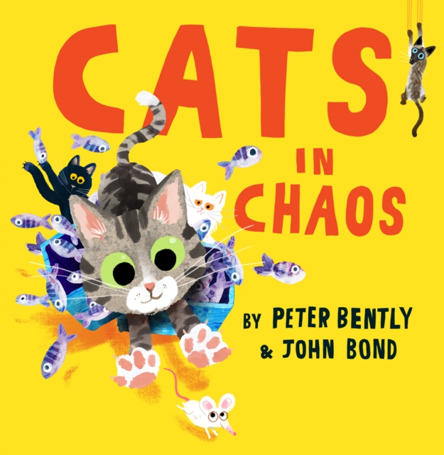 Cats in Chaos, EPUB eBook