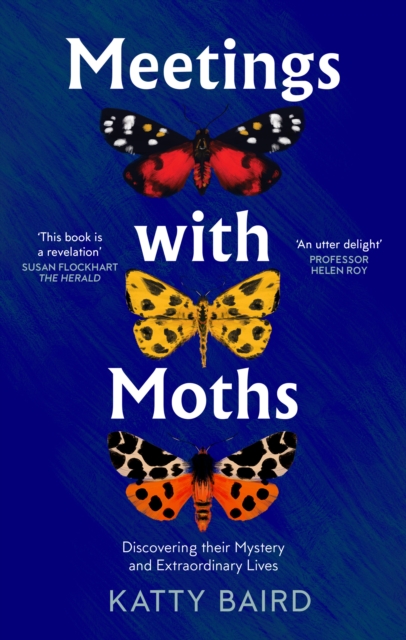 Meetings with Moths : Discovering Their Mystery and Extraordinary Lives, Paperback / softback Book