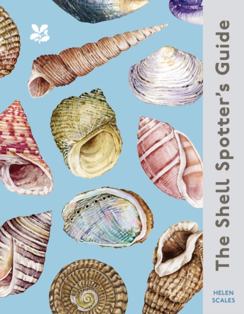 The Shell Spotter’s Guide, Hardback Book