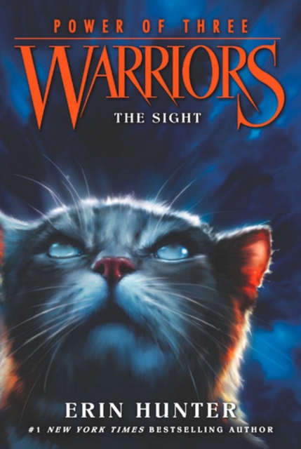 Warriors: Power of Three #1: The Sight, Paperback / softback Book