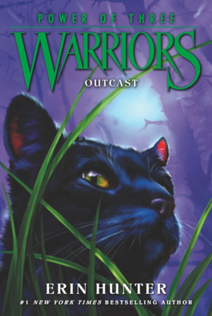 Warriors: Power of Three #3: Outcast, Paperback / softback Book