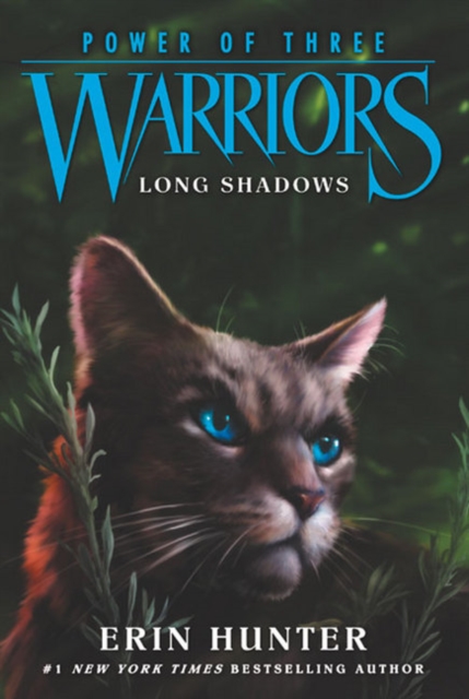 Warriors: Power of Three #5: Long Shadows, Paperback / softback Book