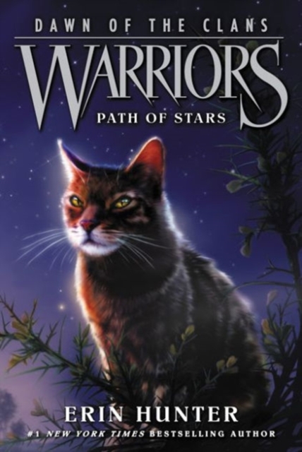 Warriors: Dawn of the Clans #6: Path of Stars, Paperback / softback Book