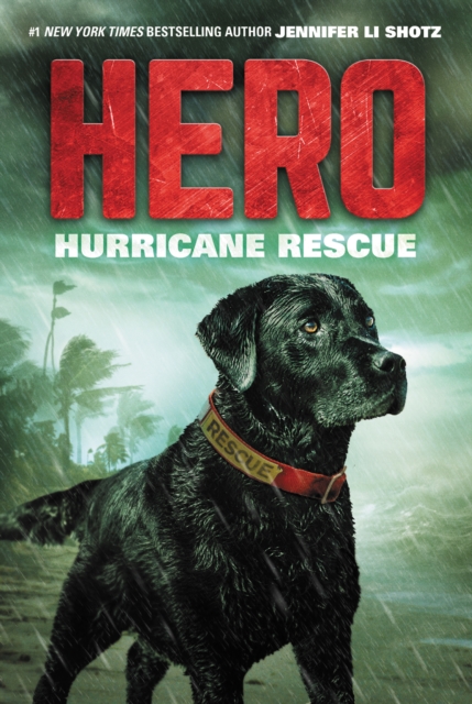 Hero: Hurricane Rescue, EPUB eBook