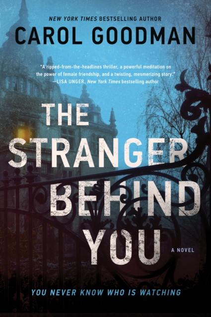 The Stranger Behind You : A Novel, EPUB eBook