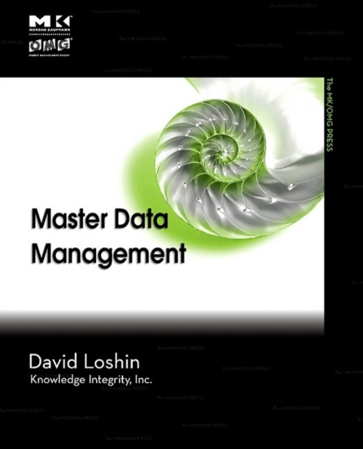 Master Data Management, EPUB eBook