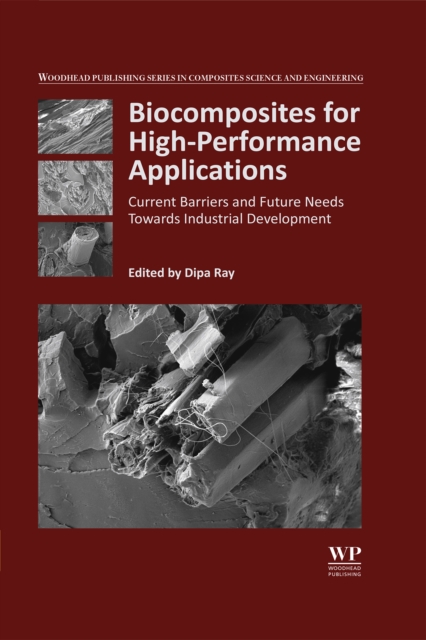 Biocomposites for High-Performance Applications : Current Barriers and Future Needs Towards Industrial Development, EPUB eBook