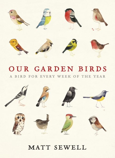 Our Garden Birds : a stunning illustrated guide to the birdlife of the British Isles, Hardback Book