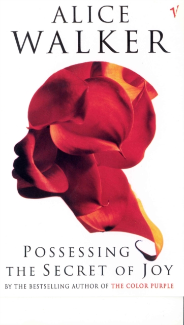 Possessing The Secret Of Joy, Paperback / softback Book