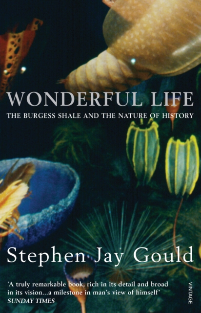 Wonderful Life, Paperback / softback Book