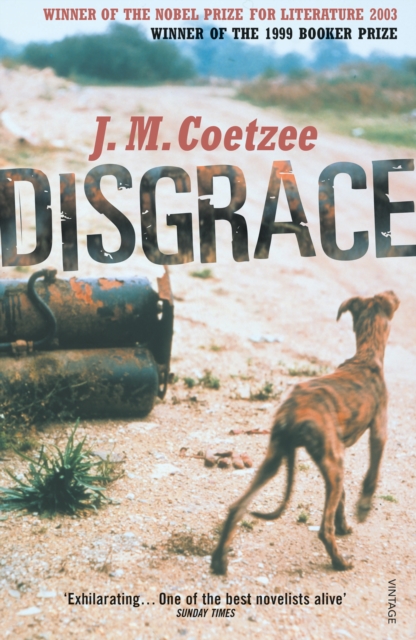 Disgrace : A BBC Radio 4 Good Read, Paperback / softback Book