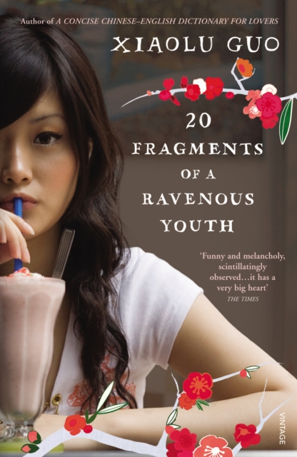 20 Fragments of a Ravenous Youth, Paperback / softback Book