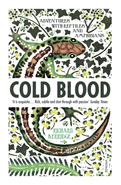 Cold Blood : Adventures with Reptiles and Amphibians, Paperback / softback Book