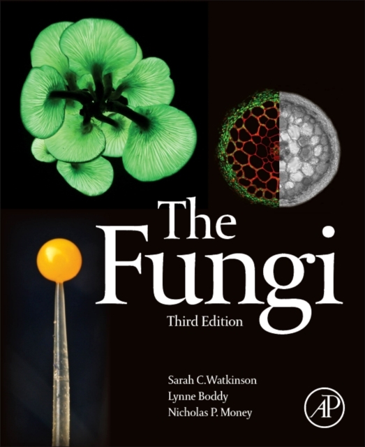 The Fungi, Paperback / softback Book