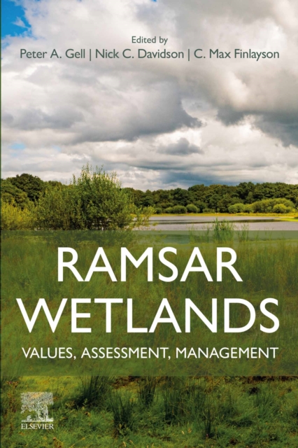 Ramsar Wetlands : Values, Assessment, Management, PDF eBook