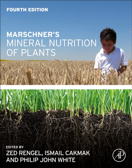 Marschner's Mineral Nutrition of Plants, Paperback / softback Book