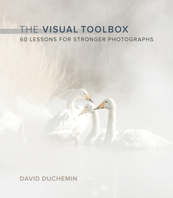 Visual Toolbox, The : 60 Lessons for Stronger Photographs, EPUB eBook