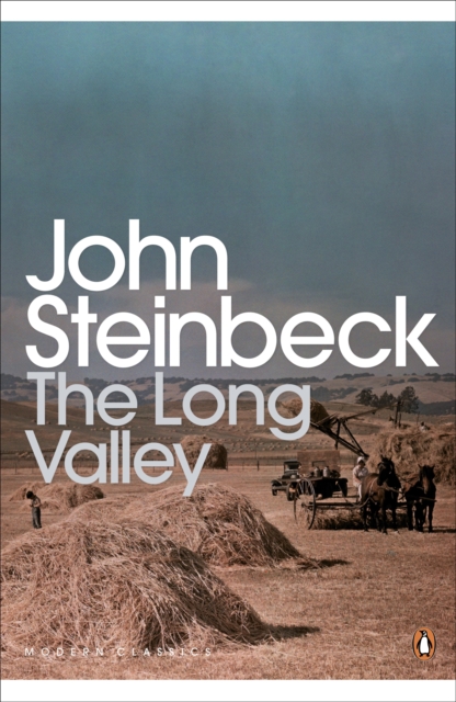 The Long Valley, Paperback / softback Book