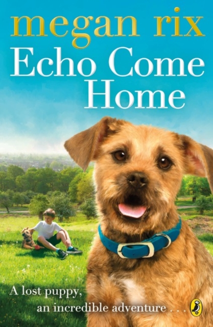 Echo Come Home, Paperback / softback Book