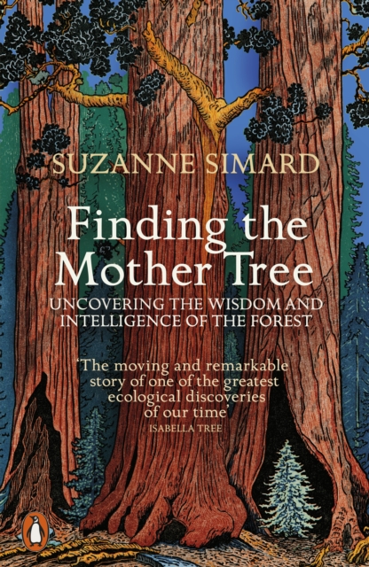 Finding the Mother Tree : Uncovering the Wisdom and Intelligence of the Forest, Paperback / softback Book