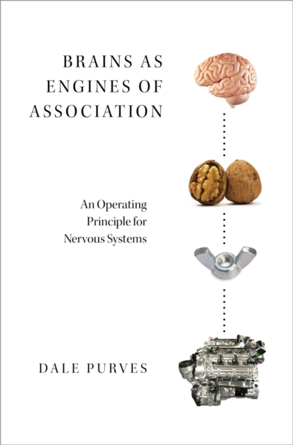 Brains as Engines of Association : An Operating Principle for Nervous Systems, EPUB eBook
