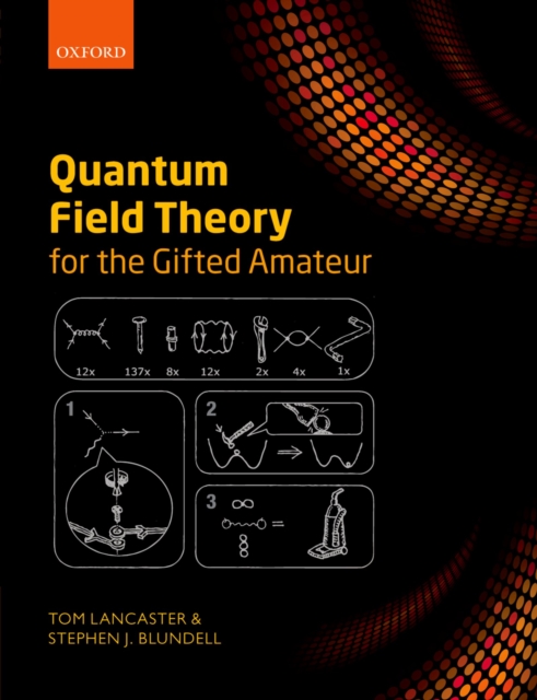 Quantum Field Theory for the Gifted Amateur, PDF eBook