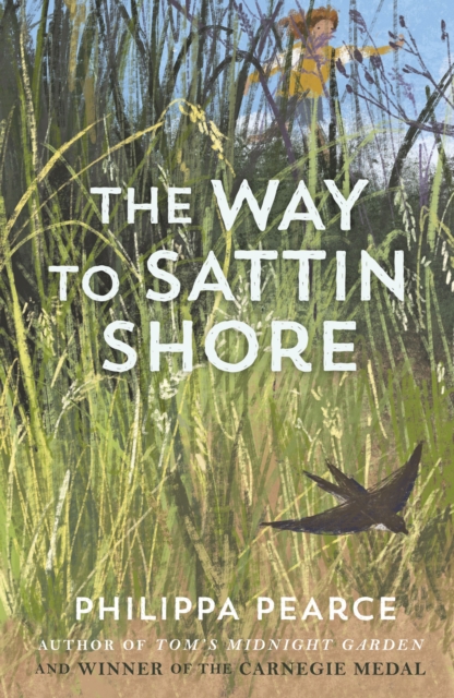 The Way to Sattin Shore, PDF eBook