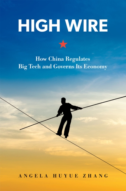 High Wire : How China Regulates Big Tech and Governs Its Economy, EPUB eBook