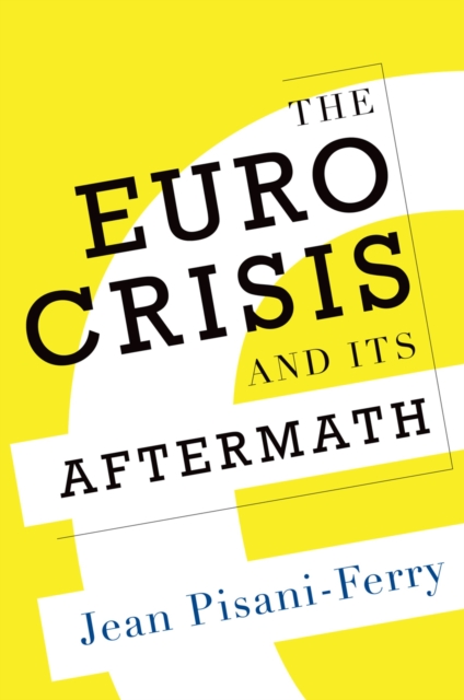 The Euro Crisis and Its Aftermath, EPUB eBook